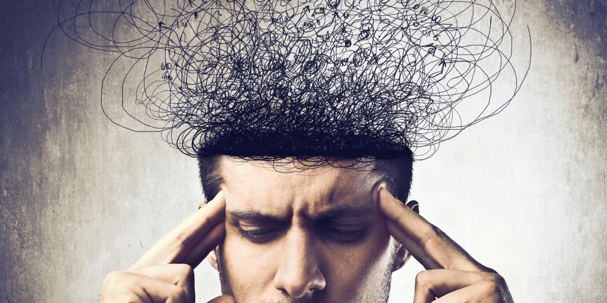 Meditation Brain