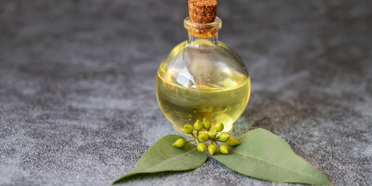 eucalyptus oil