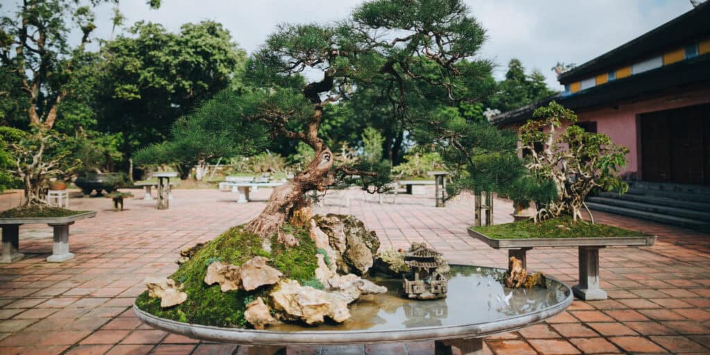 professional zen garden