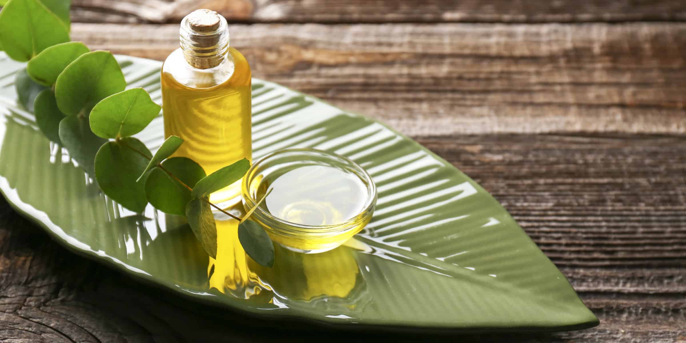 Eucalyptus Essential Oil
