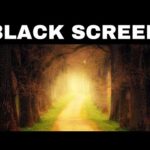 Relaxing Music for Sleeping | DAYDREAMING | Black Screen Sleep Music