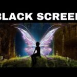 Relaxing Music for Sleeping | ENCHANTED FOREST | Black Screen Sleep Music