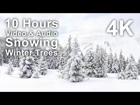 Snow covered evergreen trees in a winter landscape with text overlay: "10 Hours Video & Audio Snowing Winter Trees 4K.