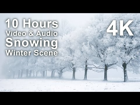 A row of snow covered trees stands in a foggy winter landscape, with text overlay advertising a 10 hour 4K video and audio of a snowing winter scene.