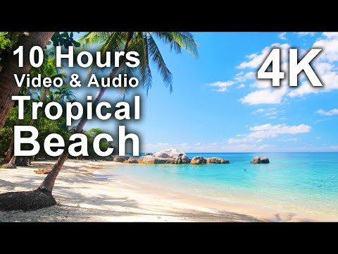 A tropical beach with white sand, clear blue water, palm trees, and rocks; text overlay reads "10 Hours Video & Audio Tropical Beach 4K.