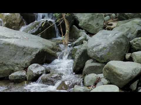 Small stream of water flows over rocks and boulders in a natural outdoor setting surrounded by greenery.