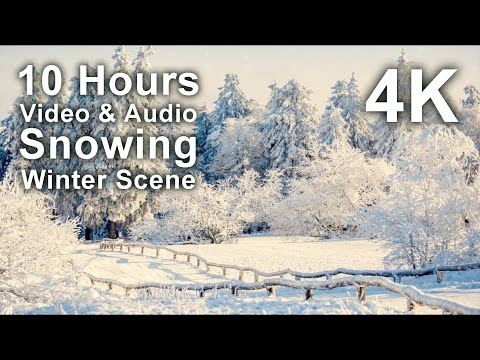 Snow covered landscape with frost coated trees, a wooden fence, and text reading "10 Hours Video & Audio Snowing Winter Scene 4K.