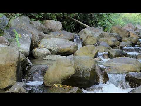 A stream of clear water flows over large rocks surrounded by green vegetation.