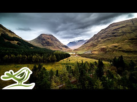 A lush green valley with dense forests sits between two tall, rugged mountains under a cloudy sky; a small bird logo appears in the bottom left corner.