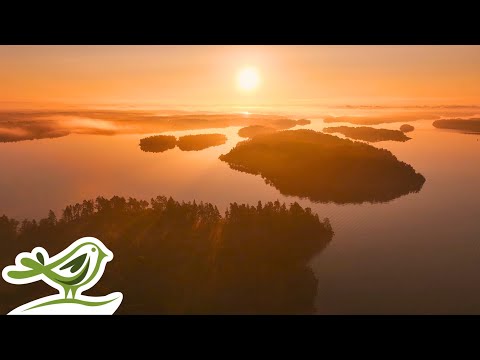 Aerial view of forested islands in a calm lake at sunrise, with a bright orange sky and a bird logo in the bottom left corner.