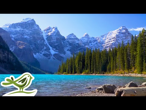A turquoise lake bordered by pine trees with snow capped mountains in the background under a clear blue sky; a bird logo is in the bottom left corner.