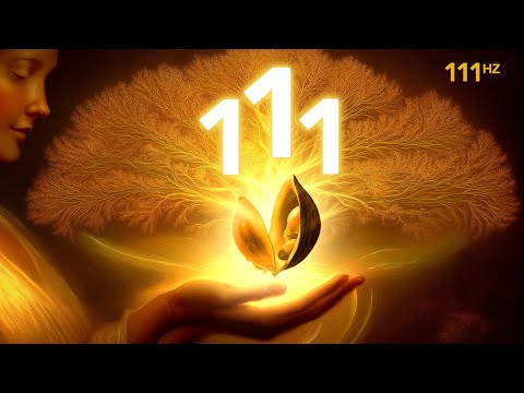 A glowing hand holds an open seed pod with light emerging, large numbers "111" above, and a tree like design in the background; "111 Hz" is written in the top right corner.