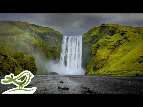 Ambient Music Mix & Relaxing Waterfall Sounds | Meditation, Sleep, Focus or Work
