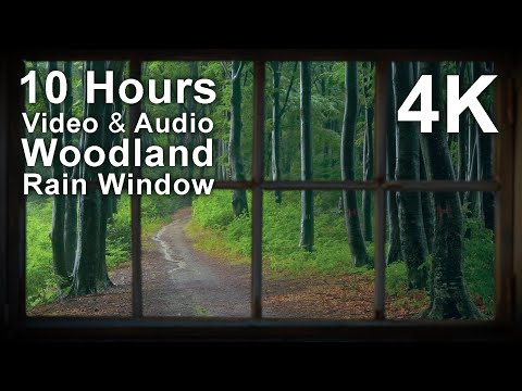 4K 10 hours – Rain Woodland Window – Stunning & Beautiful – relaxing, gentle, calming, projector