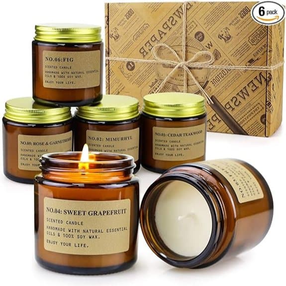 6-Pack Scented Soy Wax Candles Gift Set