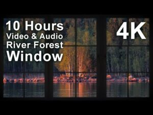 View of a calm river and forest seen through a window, with text overlay: "10 Hours Video & Audio River Forest Window 4K.