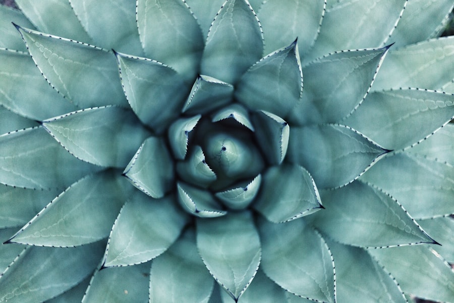 personal growth